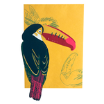 Toucan Greetings Card